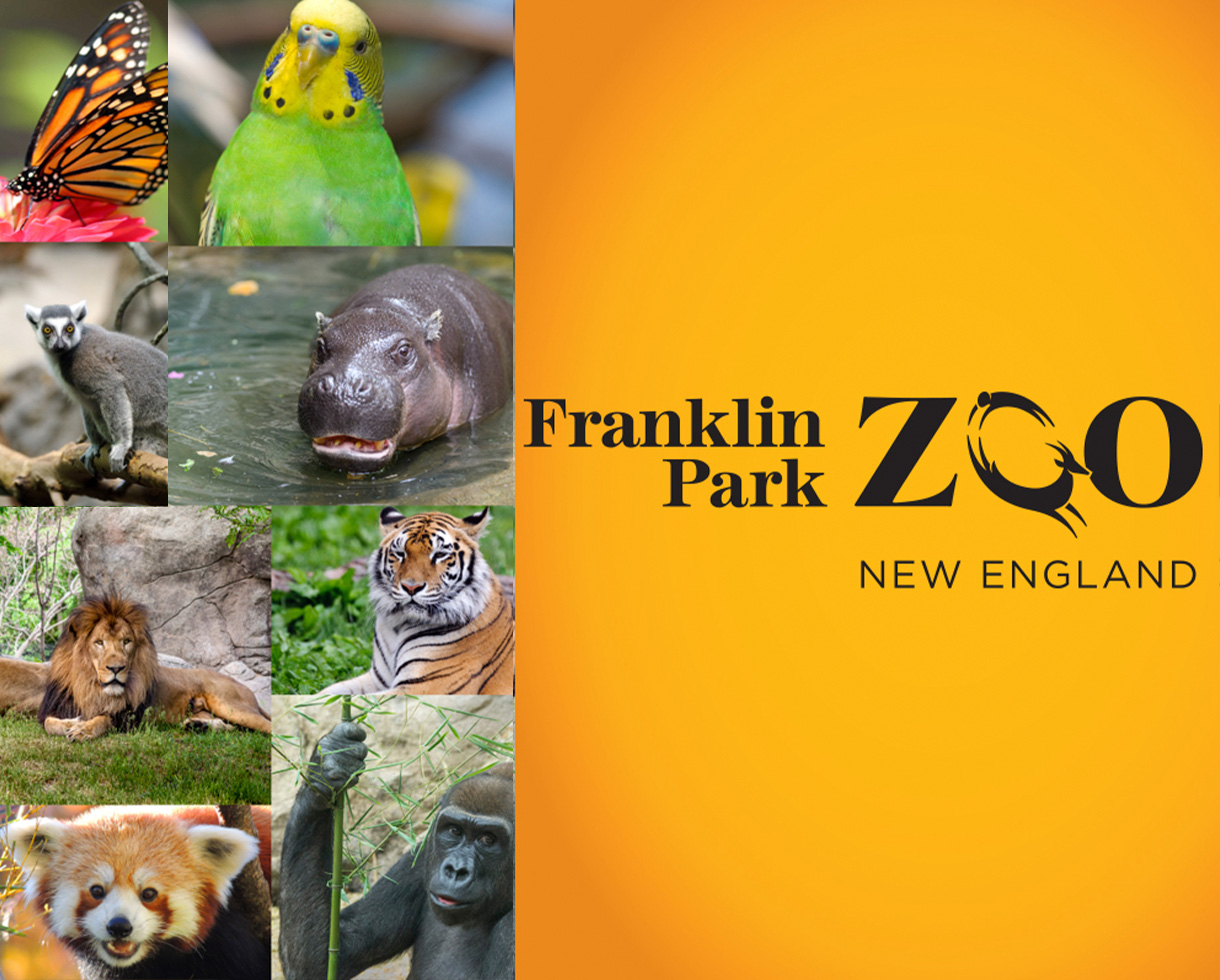 Zoo New England Promo Code atelieryuwa.ciao.jp