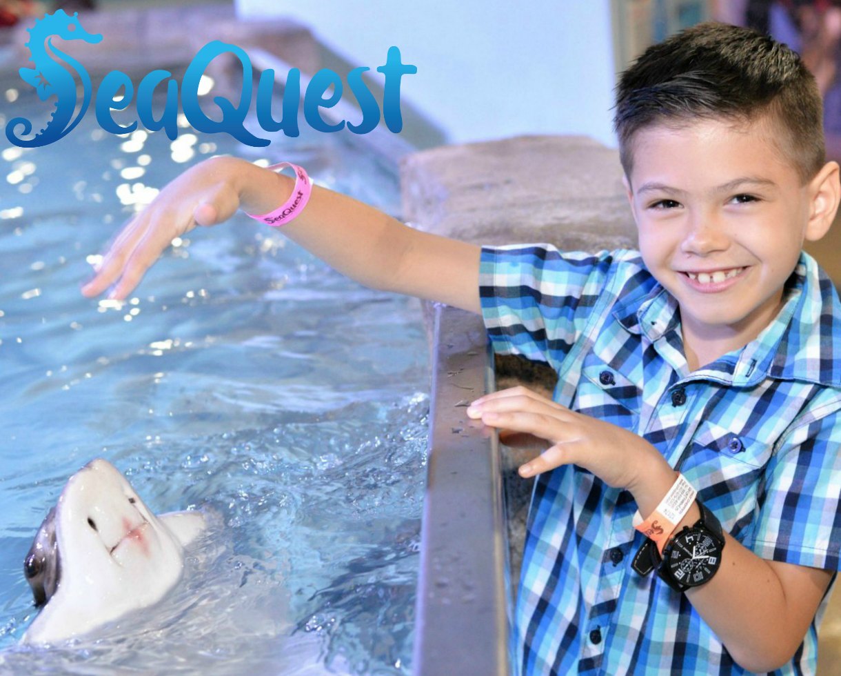 Deal SeaQuest Admission Tickets or Ultimate Experience Package